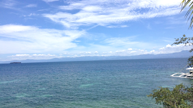 フィリピン・セブ島を訪れたら、モアルボアルに絶対行くべき理由４選