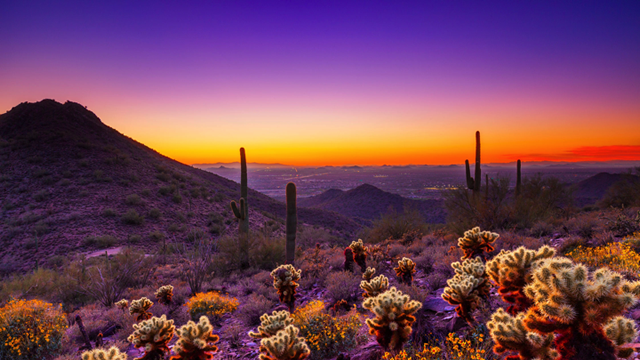 アリゾナ州が熱い！アメリカに住むならフェニックスエリアを是非お勧めしたい６つの理由・自然