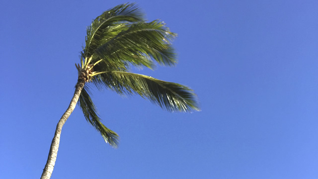 ハワイ・オアフ島のステイなら「コオリナ」を選ぶべき理由６選・晴天率の高さ