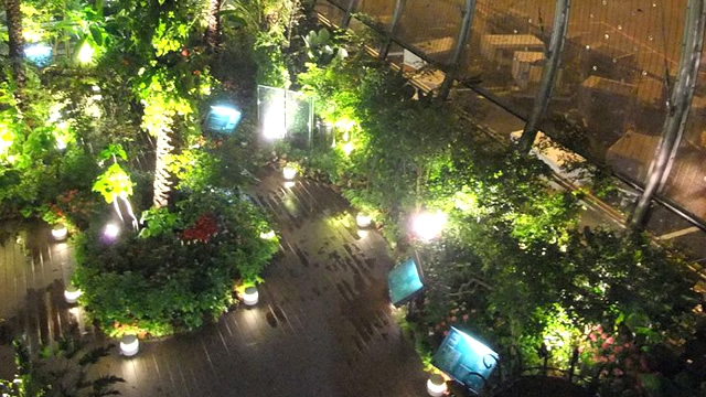 シンガポール・チャンギ空港で快適に待ち時間を過ごす方法６選・ガーデンで自然を感じながら、のんびりリラックス