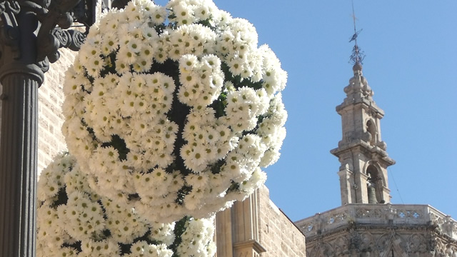 【パエリア発祥の地】スペイン３番目の都市バレンシアのおすすめ情報５選・献花