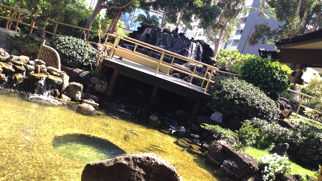 ハワイ・オアフ島のリピーターにおすすめ！パゴダホテルの魅力３選・庭