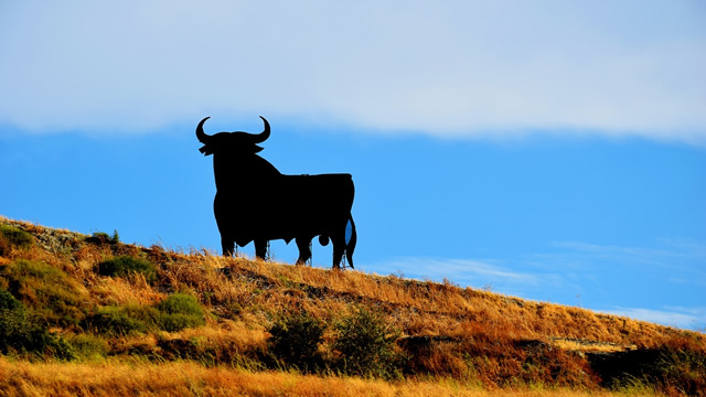 アラブ文化が色濃く残る！スペイン・コルドバの魅力６選・黒い牛の看板