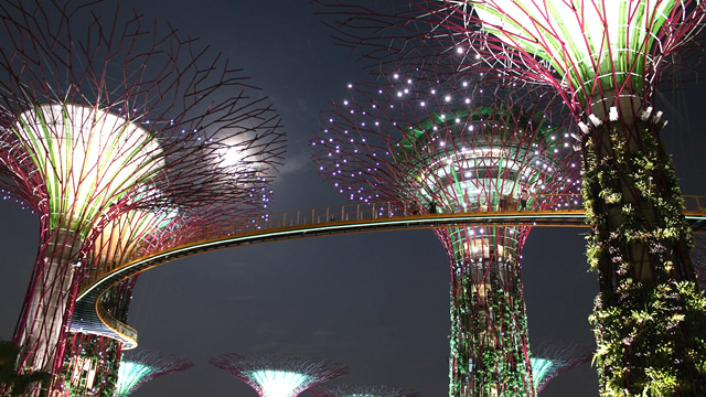 「独立５０周年」魅力溢れるシンガポールの楽しみ方１０選・ガーデンズ・バイ・ザ・ベイ