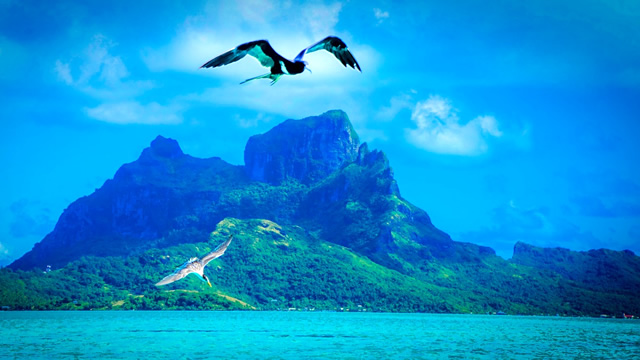 まさに楽園！タヒチ・ボラボラ島の水上バンガロー情報３選・青と緑のコントラスト
